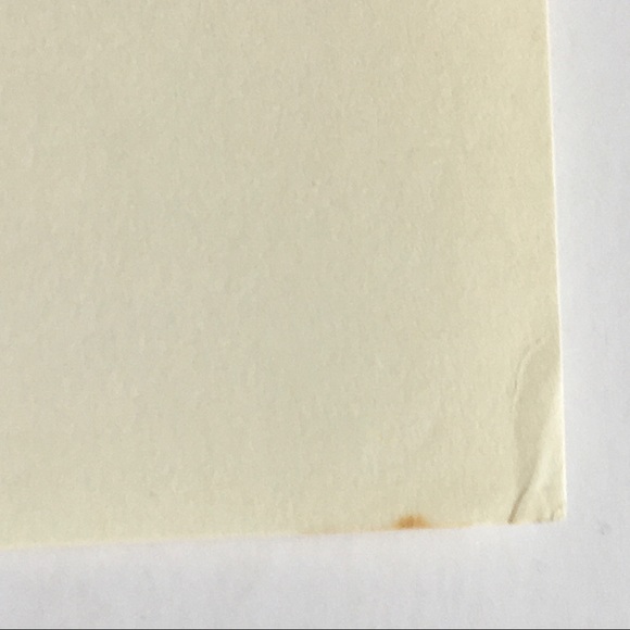 Vintage Art Wild Turkey Print Natural History Bird Illustration Fine Artwork - Picture 3 of 5